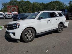 فورد إكسبيديشن